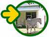 Port Alfred Self-catering