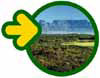 Hout Bay Self-catering